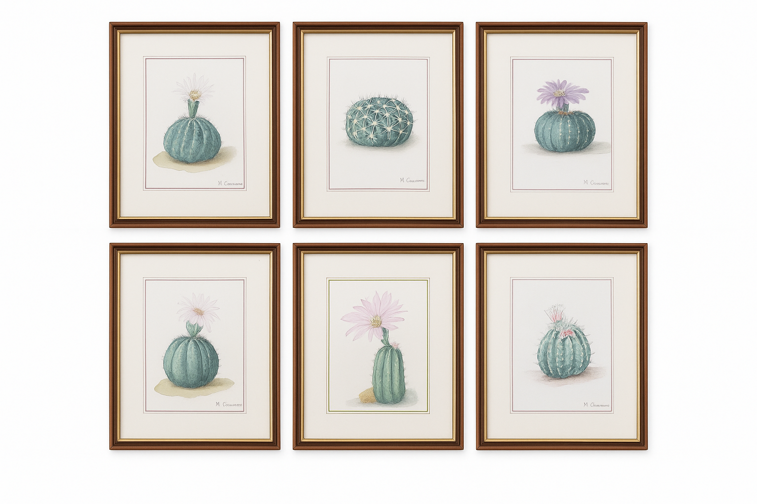 Série de 6 aquarelles botaniques – signées M. Chauveau