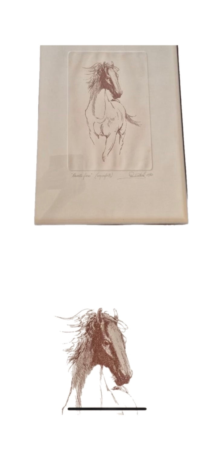 意大利蚀刻“Cavallo fiero” – 签名雕刻 – Paolo Testa (1976)